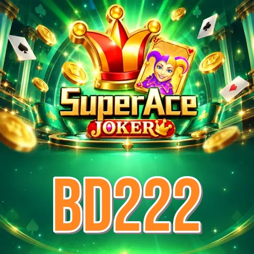 Developer Info bd222