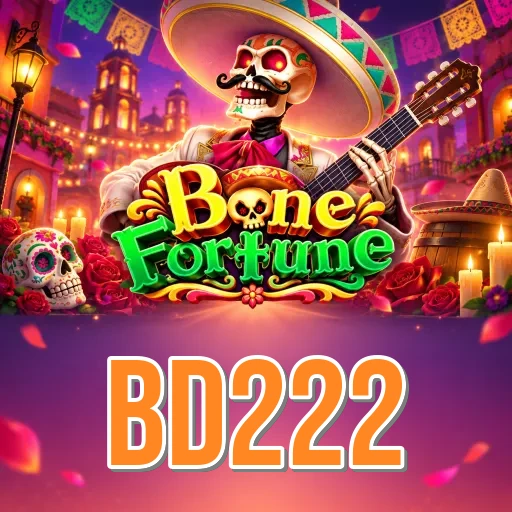 bd222 Overview