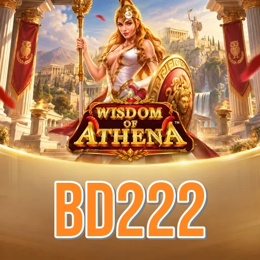 Installation Guide - bd222 Expert Tutorial